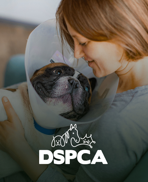 DSPCA